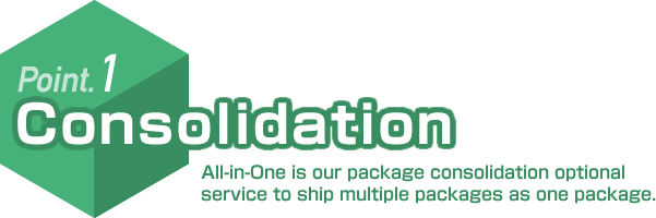 Point.1 Consolidation All-in-One is our package consolidation optional service to ship multiple packages as one package.